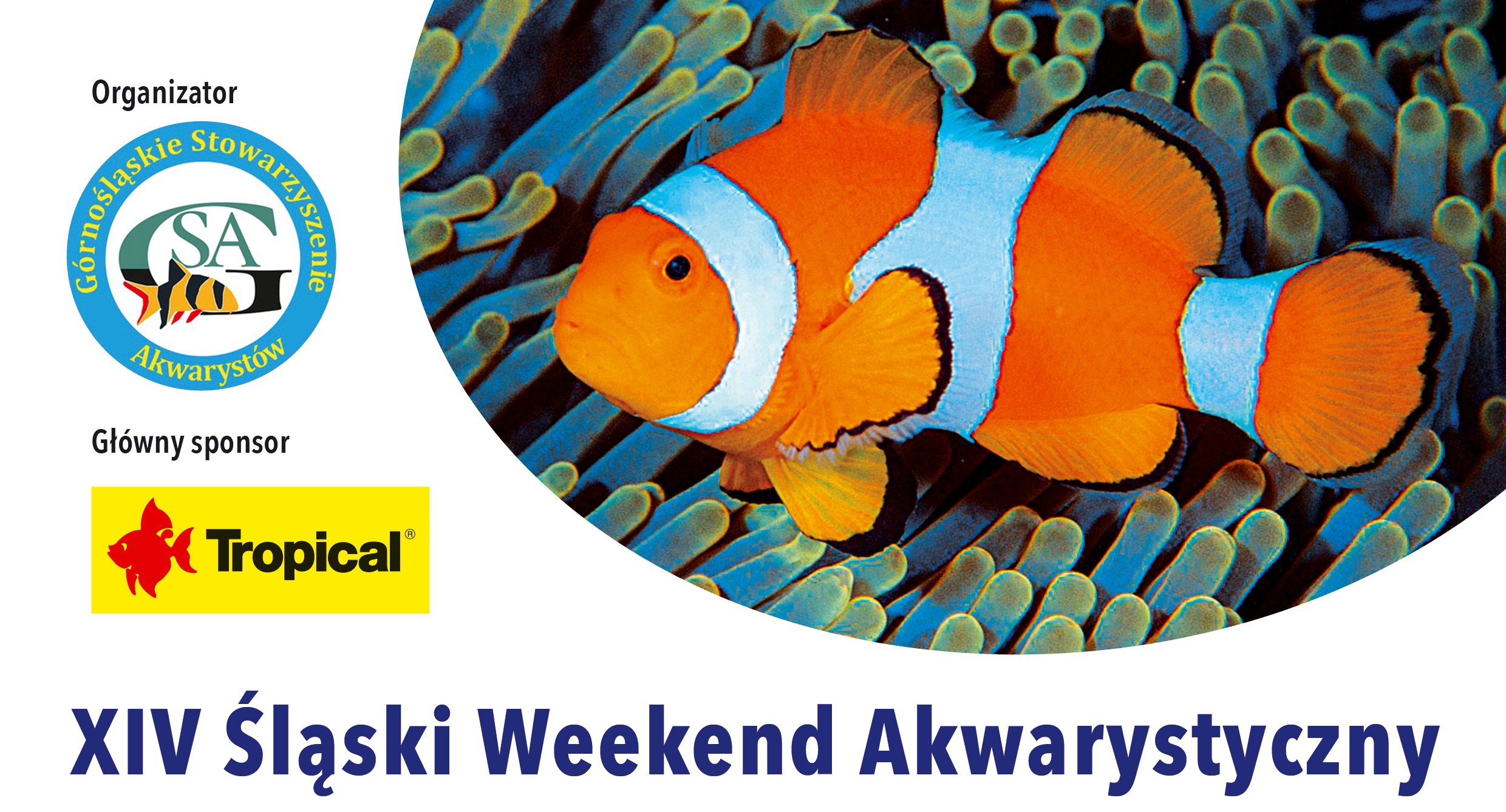 baner z rybą i nazwą wydarzenia